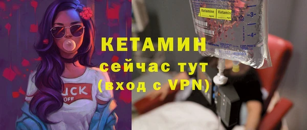 шишки Коряжма
