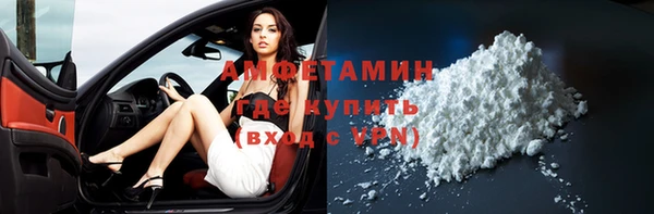 шишки Коряжма
