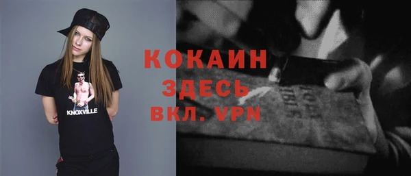 шишки Коряжма