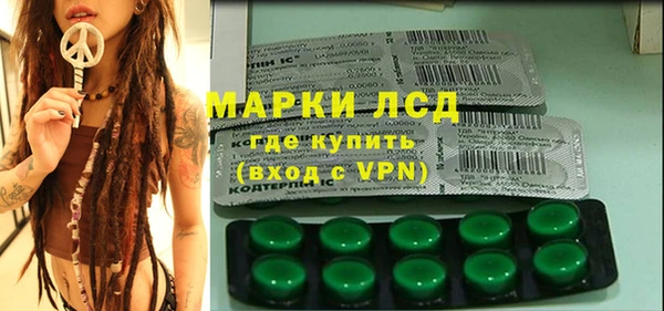 гашик Корсаков
