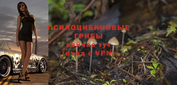 Альфа ПВП Костерёво