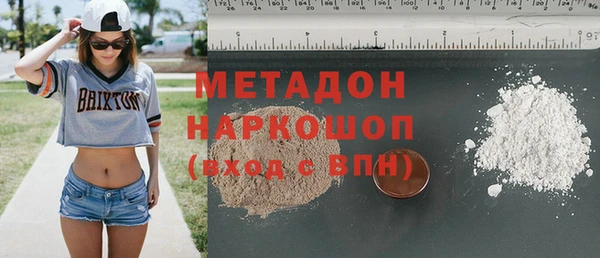 шишки Коряжма