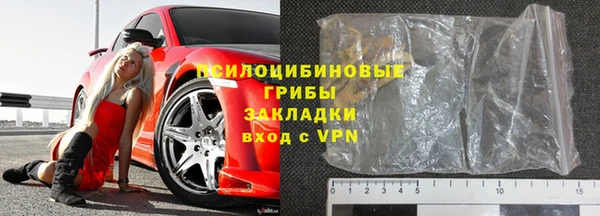 гашик Корсаков